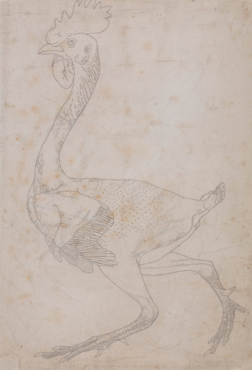 Hønsekrop, sideværts (sandsynligvis forberedt til overførsel til pladen for indgravering af nøglefiguren til tabel X) af George Stubbs