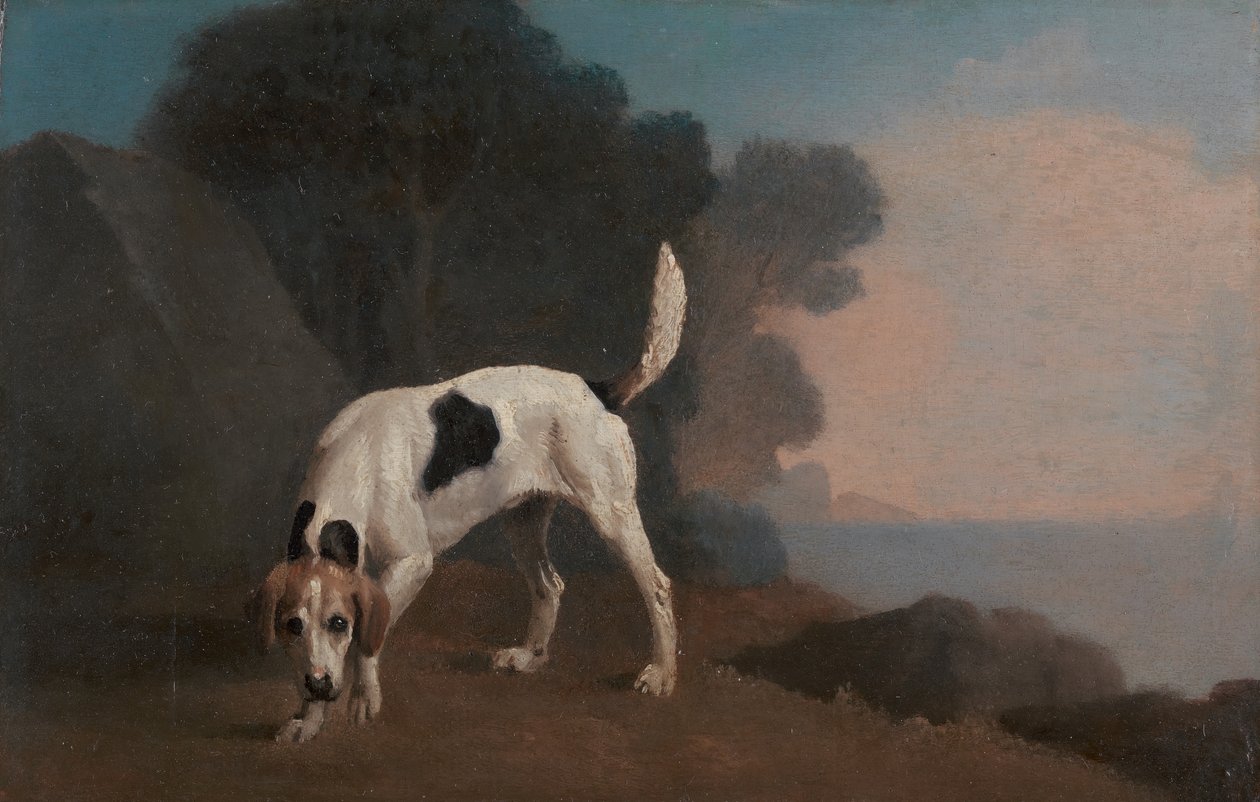 Rævehund, Rævehund på duften, ca. 1760. af George Stubbs