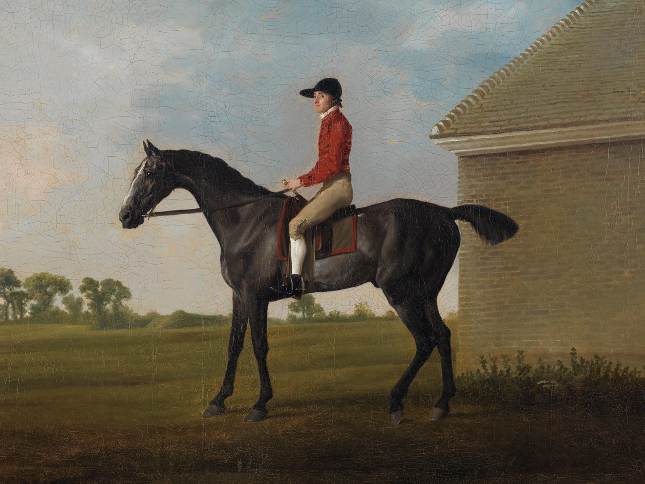 Gimcrack, med John Pratt oppe, på Newmarket Heath, 1795 af George Stubbs
