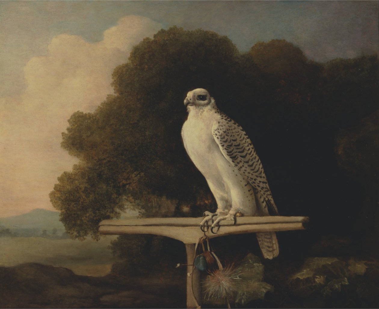 Grønlandsk falk af George Stubbs