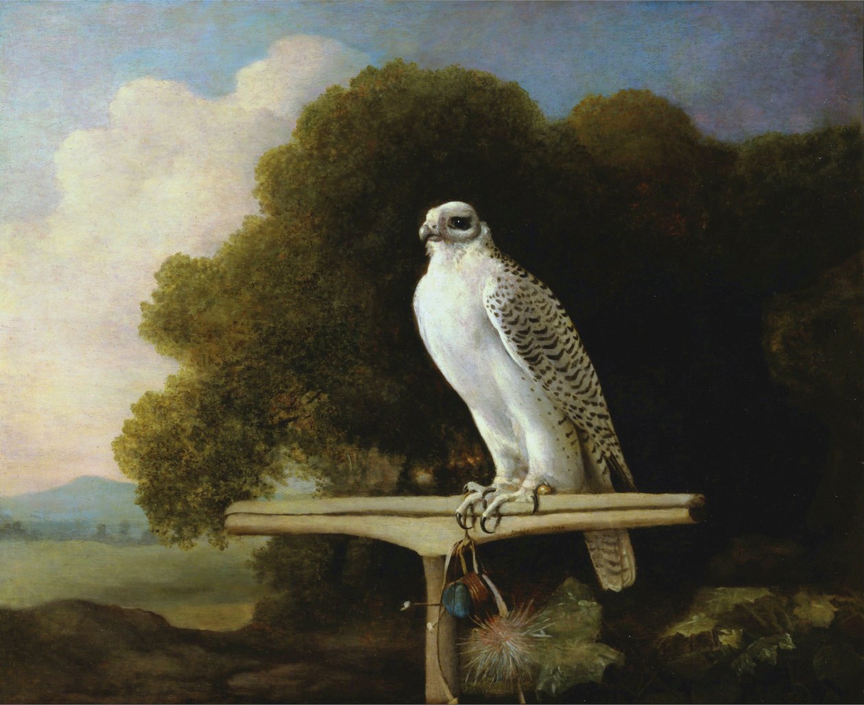 Grønlandsk falk af George Stubbs