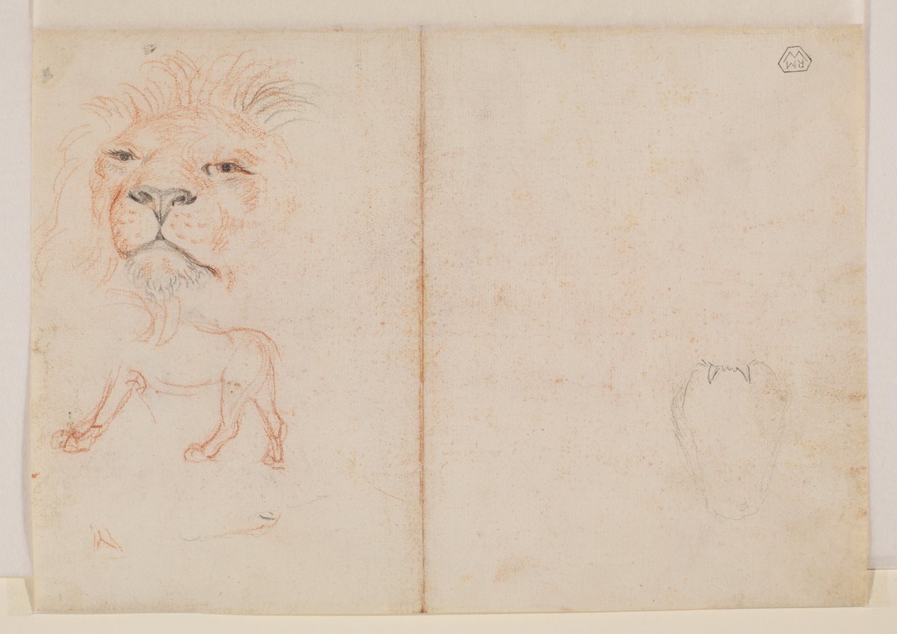 Hoved af en løve, verso, 18. eller 19. århundrede af George Stubbs