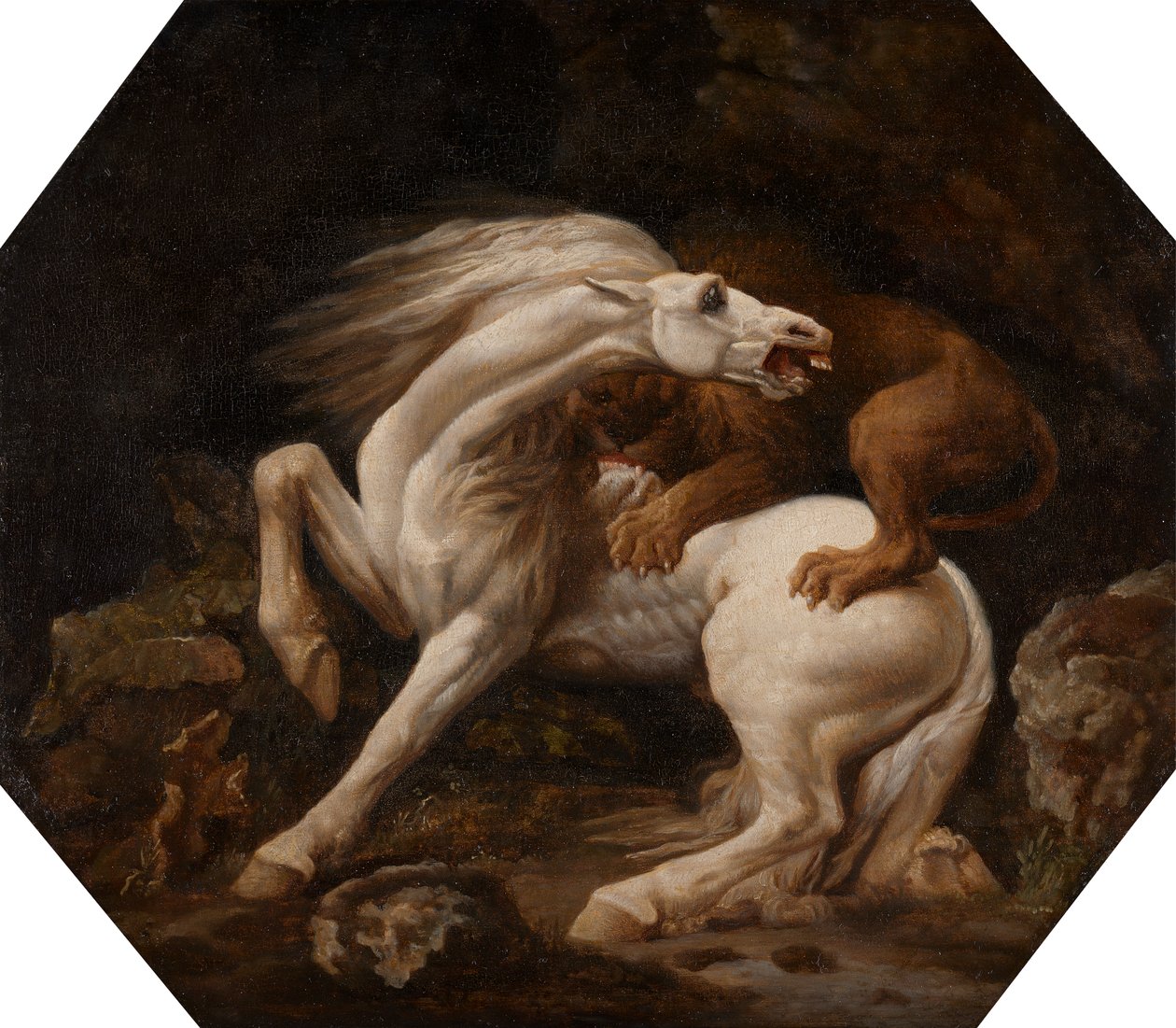 Hest angrebet af en løve (Episode C) af George Stubbs