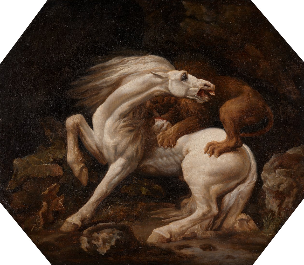 Hest angrebet af en løve Episode C, mellem 1768 og 1769. af George Stubbs