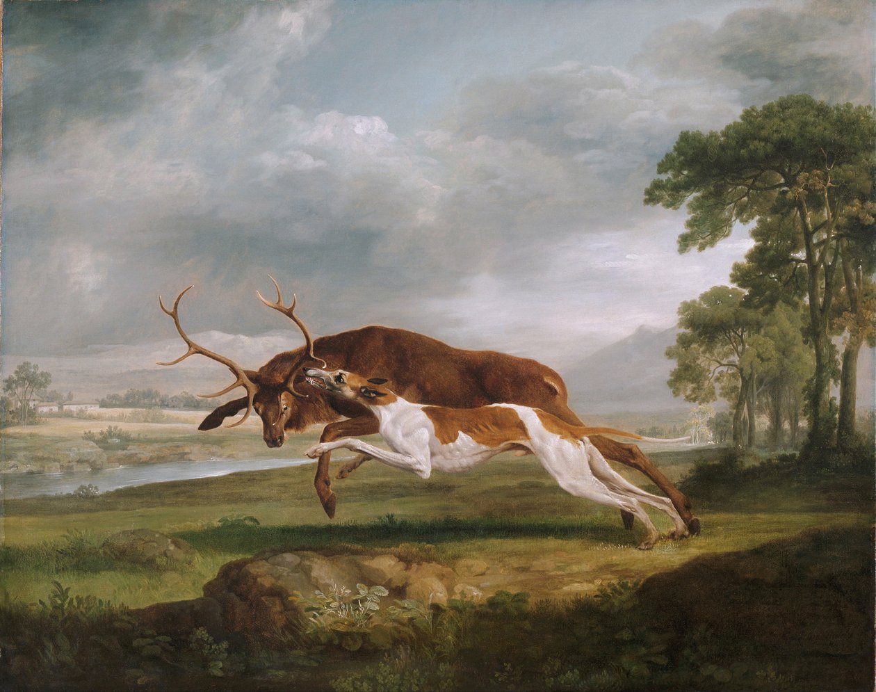 Hound Coursing en hjort af George Stubbs