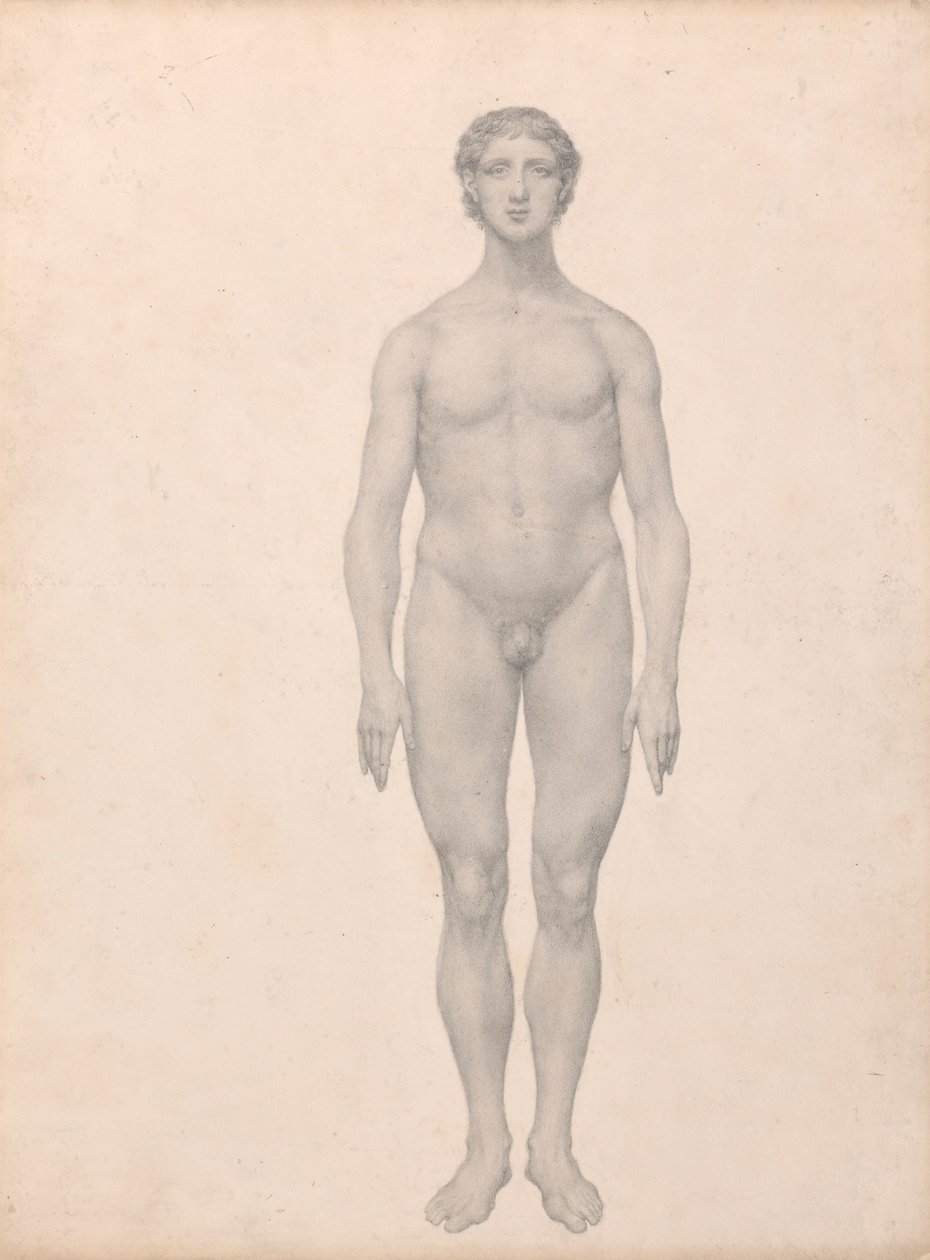 Menneskelig figur, set forfra, udissektioneret (færdig undersøgelse for tabel VI) af George Stubbs