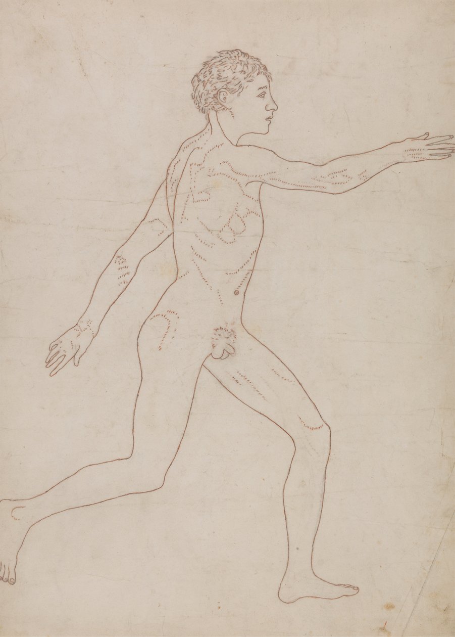 Menneskelig figur, sideværts (konturundersøgelse i omvendt rækkefølge af tabel VIII) af George Stubbs