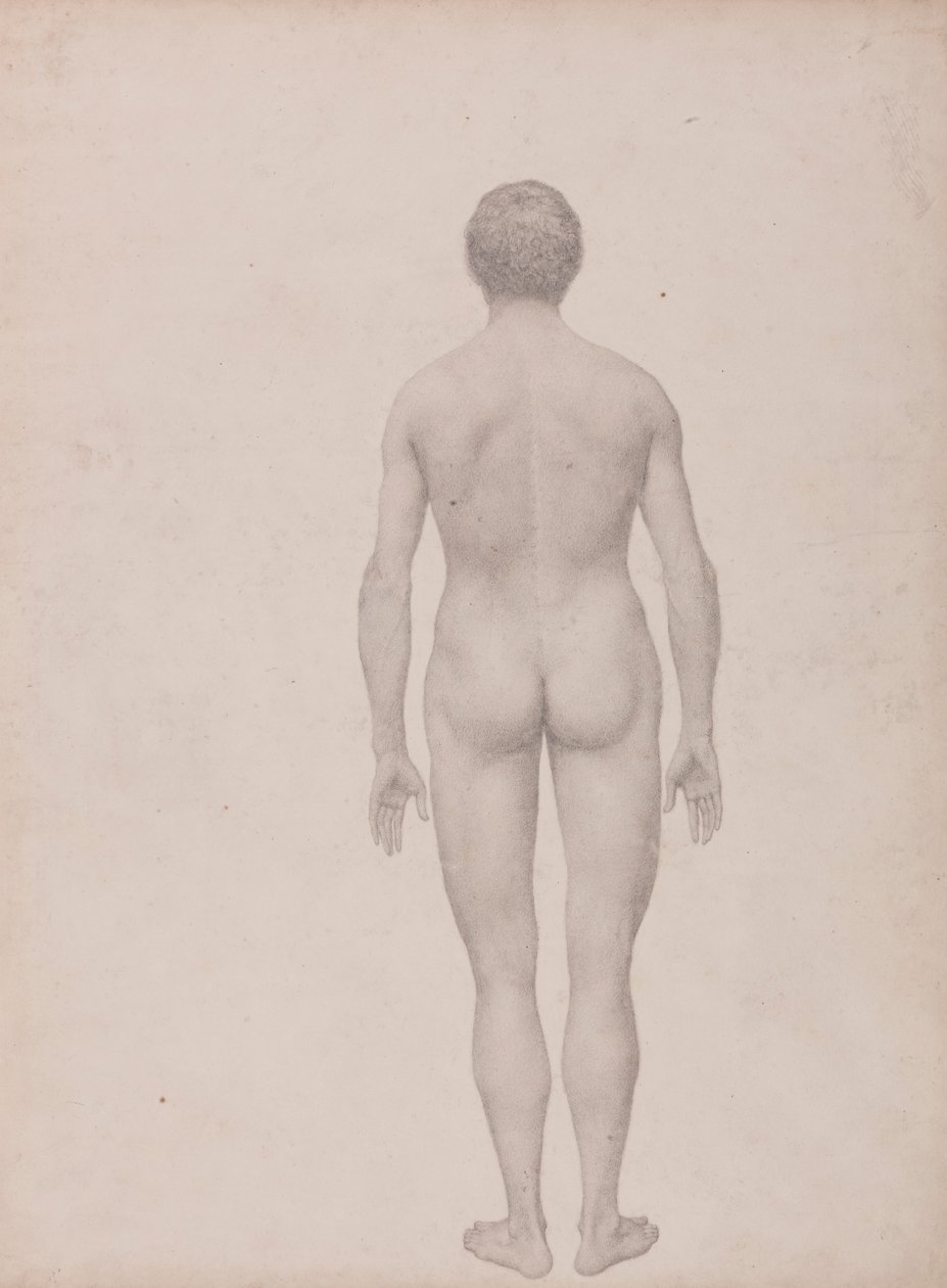 Menneskelig figur, set bagfra, udissektioneret (færdig undersøgelse til tabel VII) af George Stubbs
