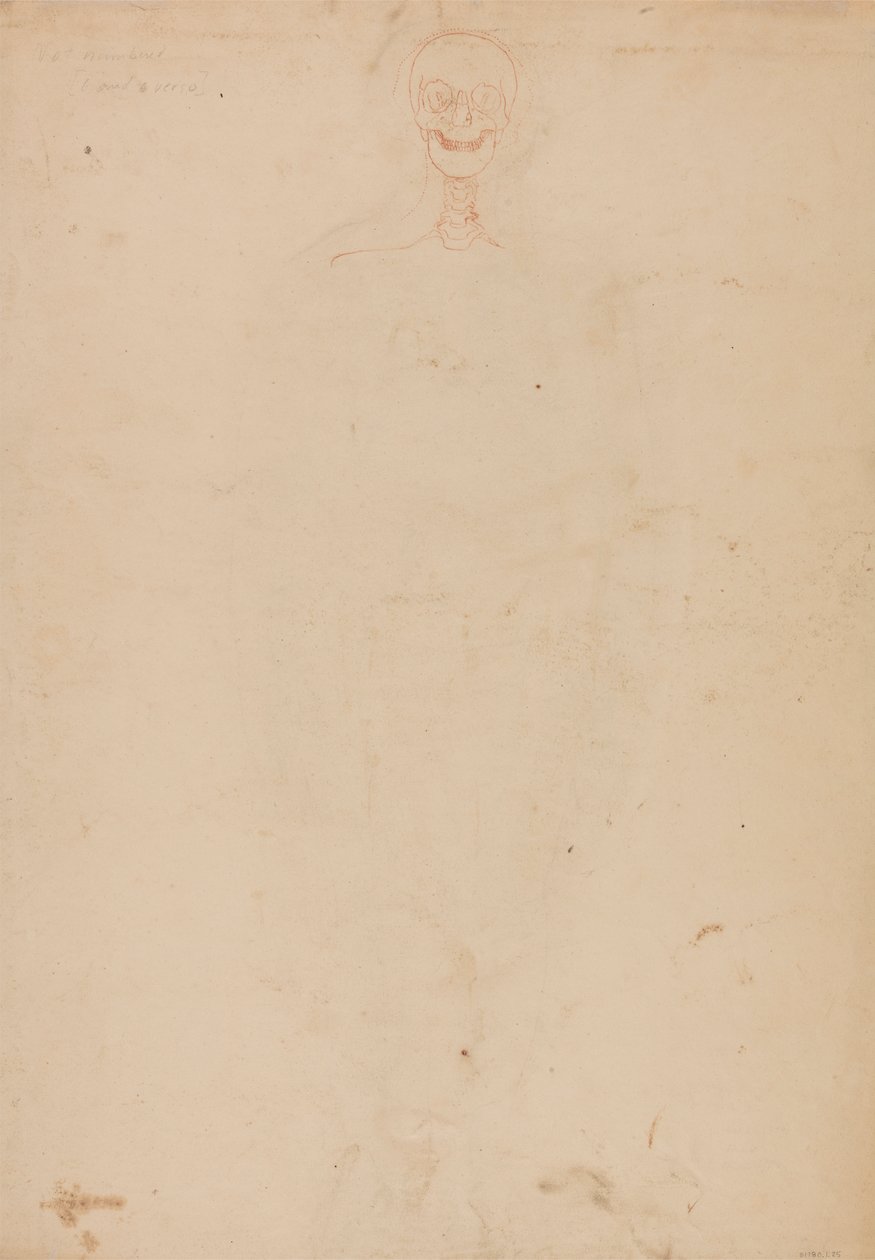 Menneskeskelet, set forfra af George Stubbs