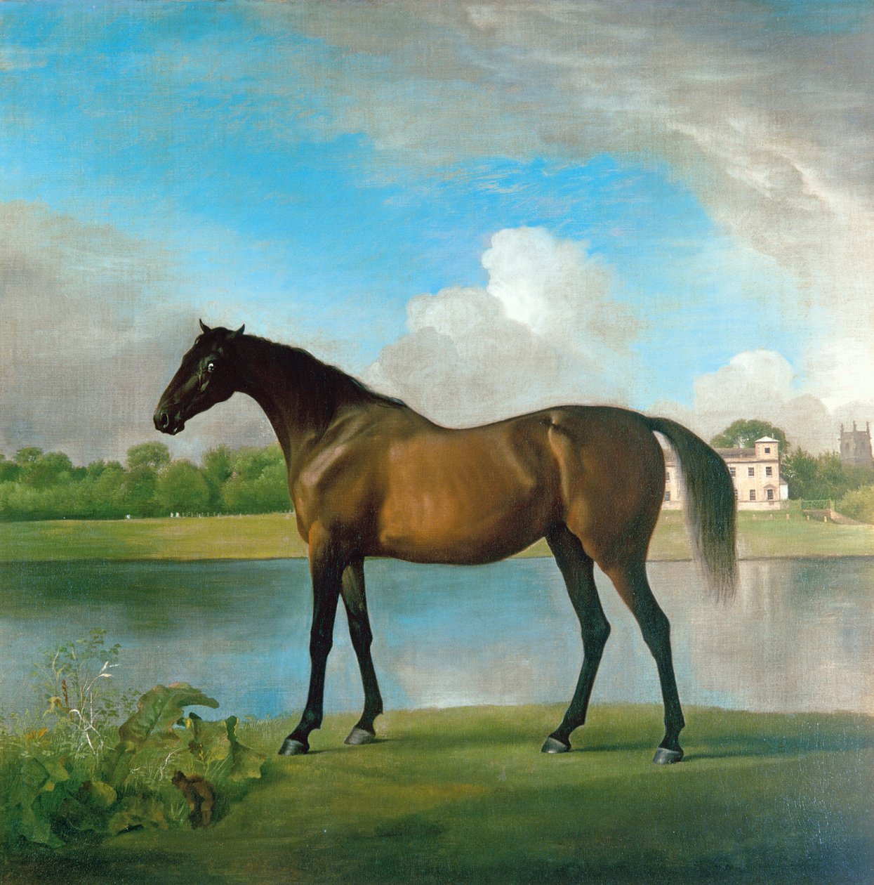 Lord Bolingbrokes hoppe i Lydiard Park, Wiltshire, ca. 1764-66 (olie på lærred) af George Stubbs