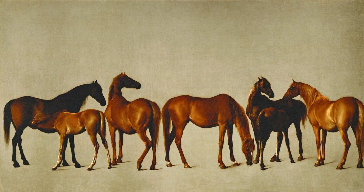 Hopper og føl (olie på lærred) af George Stubbs