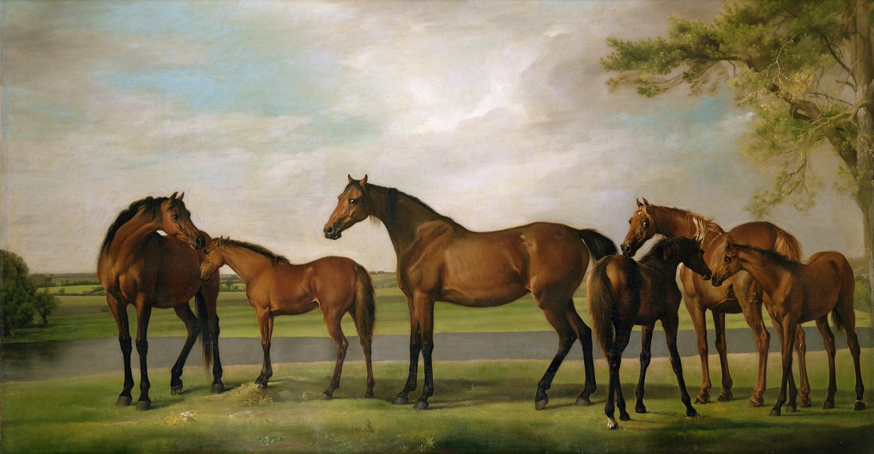 Hopper og føl forstyrret af en nærgående storm, 1764-66 af George Stubbs
