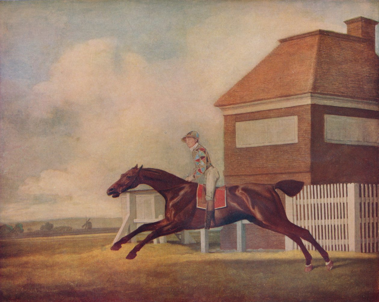 Mr. Ogilvys Bay Racehorse Trentham ved Newmarket med Jockey up, 1771 af George Stubbs