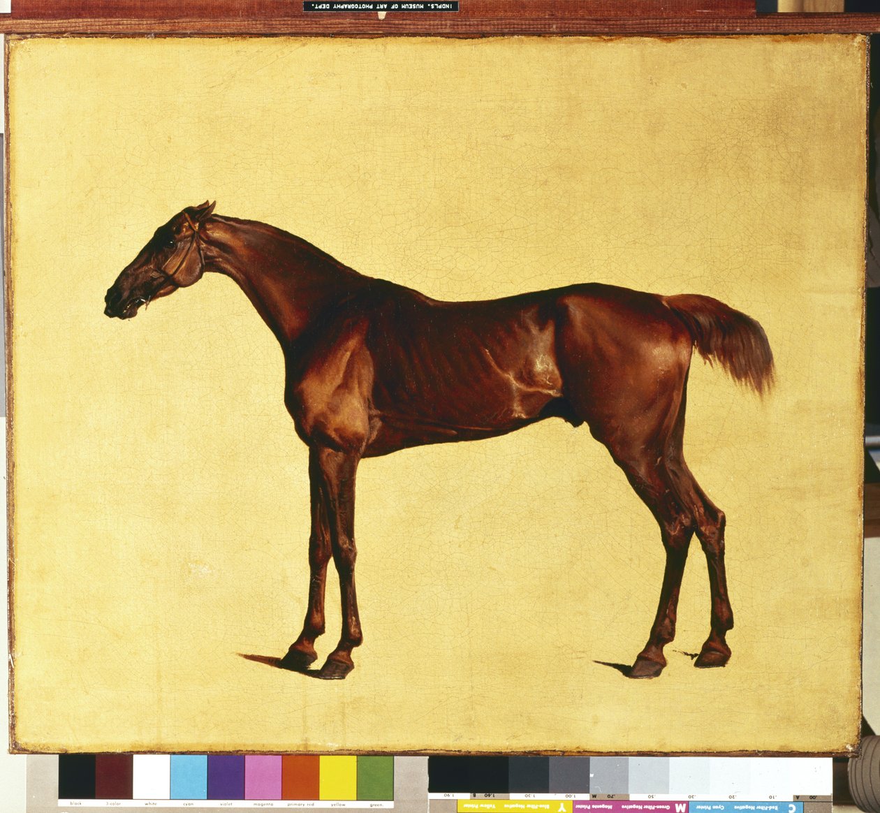 Pangloss (olie på lærred) af George Stubbs