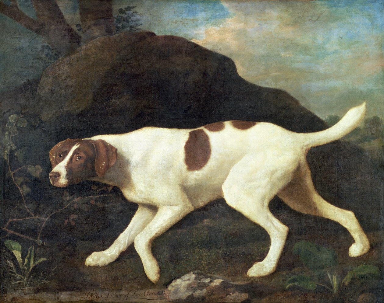 Phillis, en pointer fra Lord Clermonts af George Stubbs