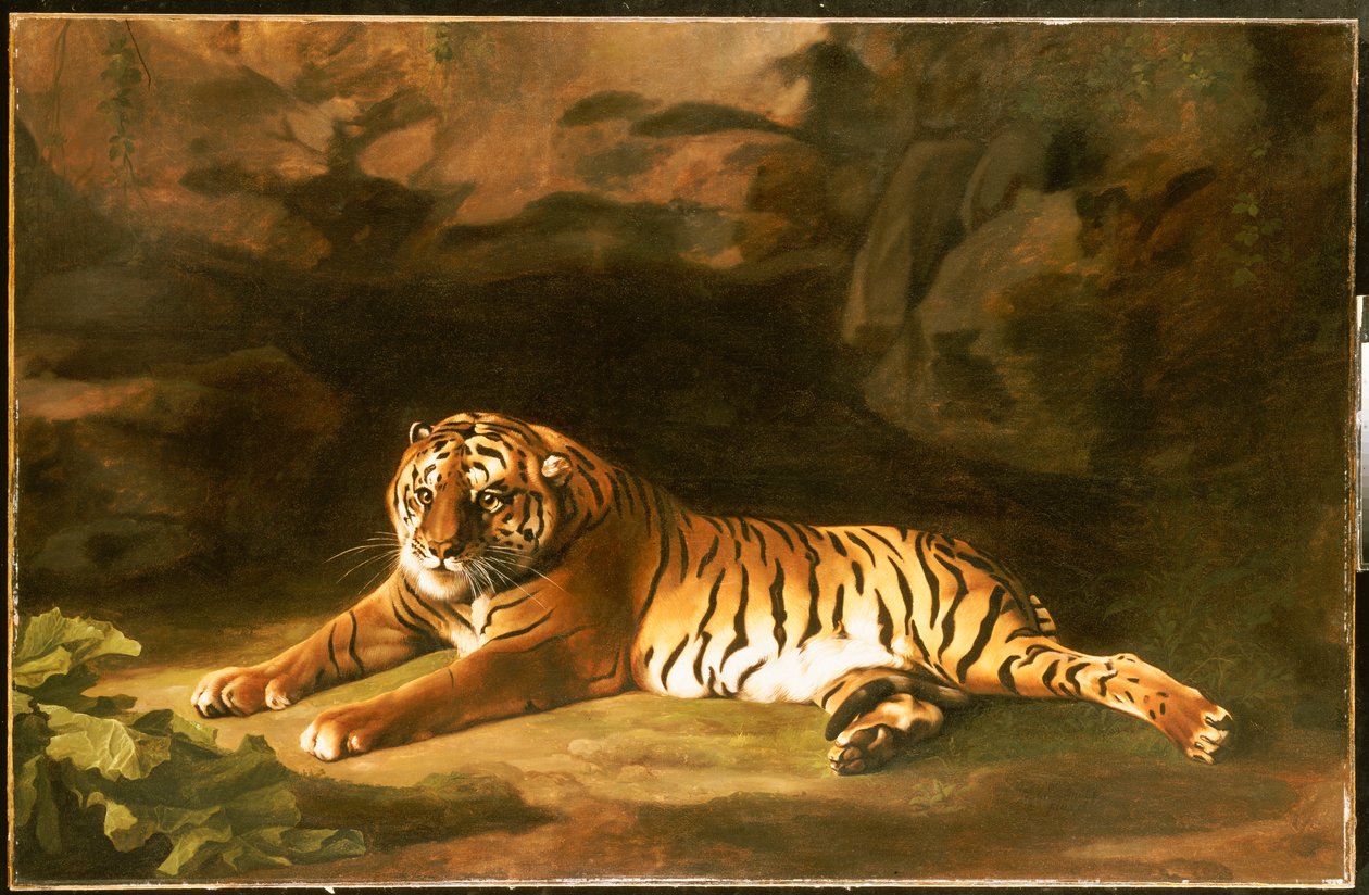Portræt af den kongelige tiger, ca. 1770 af George Stubbs