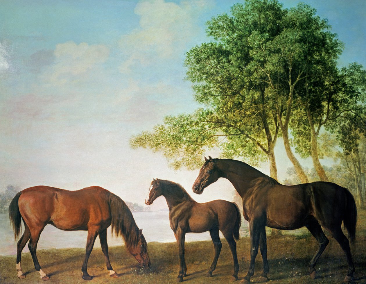 Shafto Mares og et føl af George Stubbs