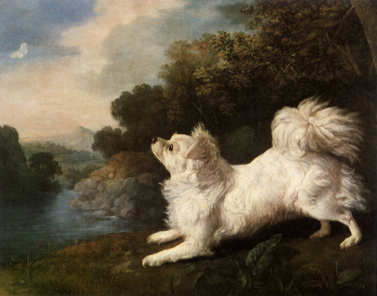 Spaniel tilhørende maleren Cosway jagter en sommerfugl, 1775 af George Stubbs