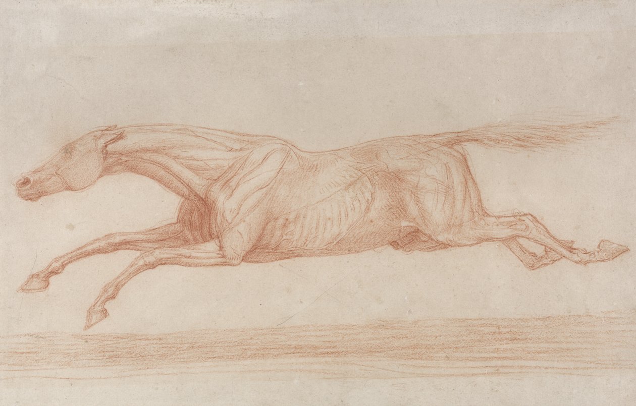 Undersøgelse af en væddeløbshest i aktion: galopperende til venstre (rødt kridt på gulfarvet papir) af George Stubbs