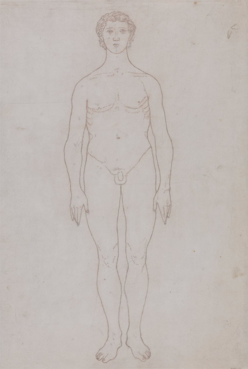 Studie af den menneskelige figur, forfra (konturtegning til tabel VI) af George Stubbs