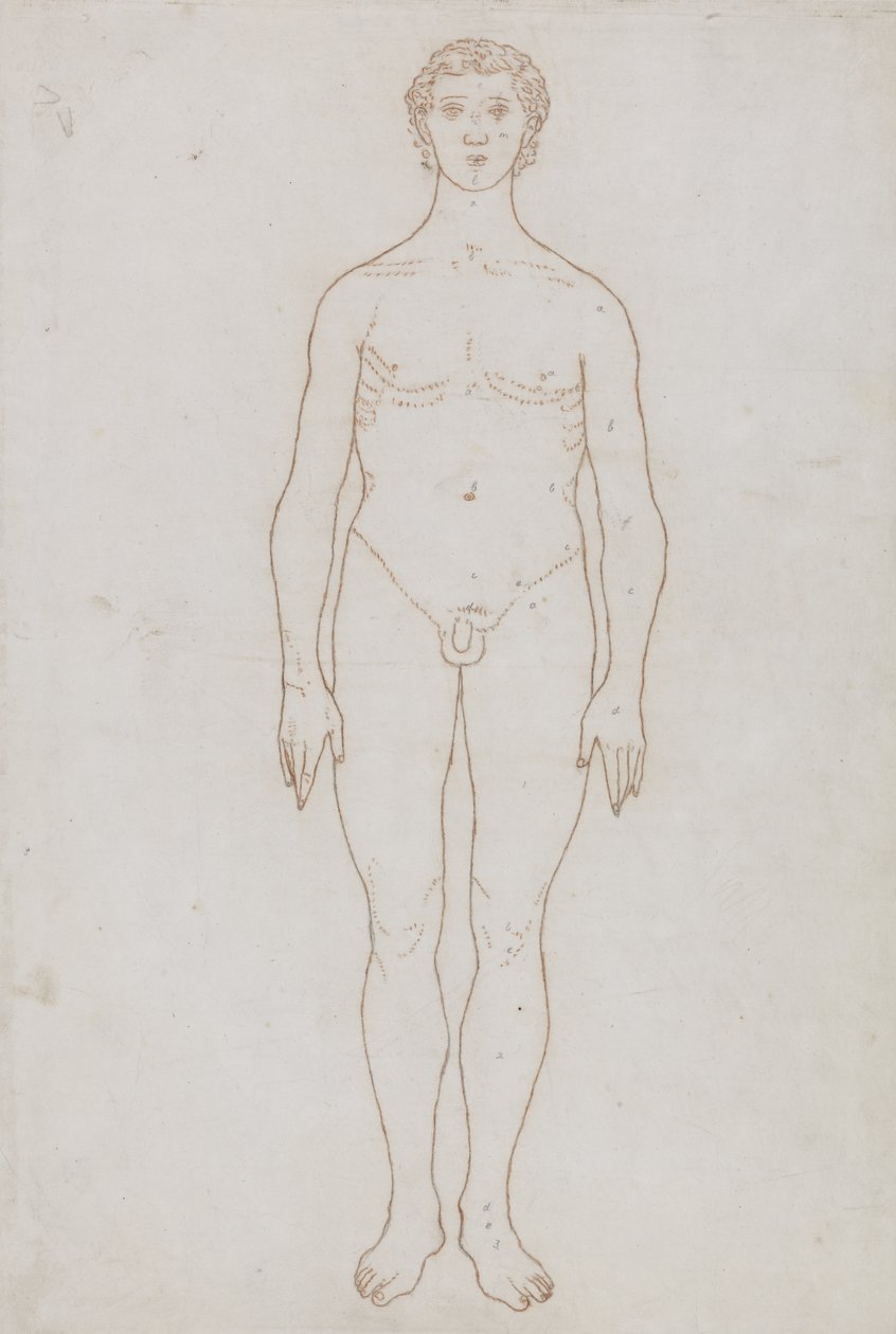 Studie af den menneskelige figur, forfra, fra 