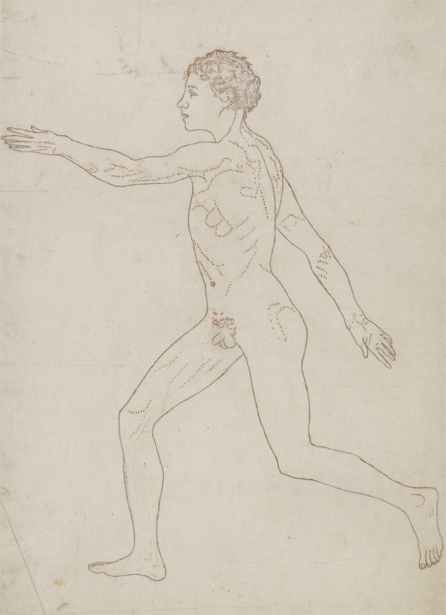 Studie af den menneskelige figur, sideblik, fra 