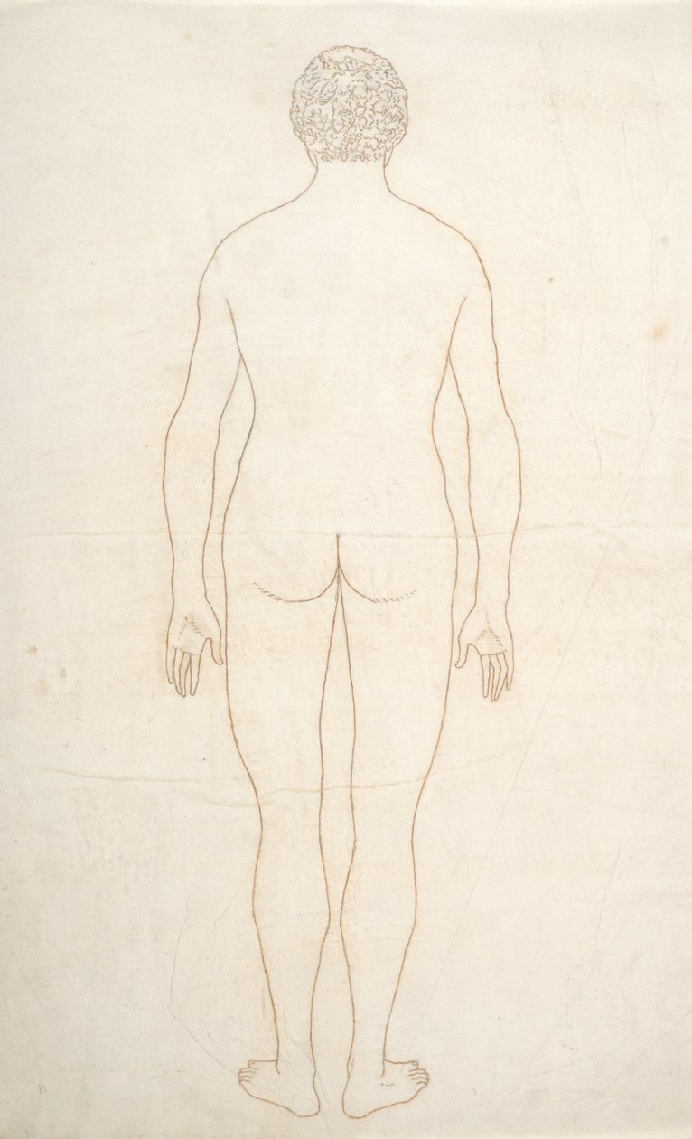 Studie af den menneskelige figur, bagfra, fra en sammenlignende anatomisk fremstilling af den menneskelige krops struktur med en tiger og en almindelig høns, ca. 1795-1806 (blæk på papir) af George Stubbs