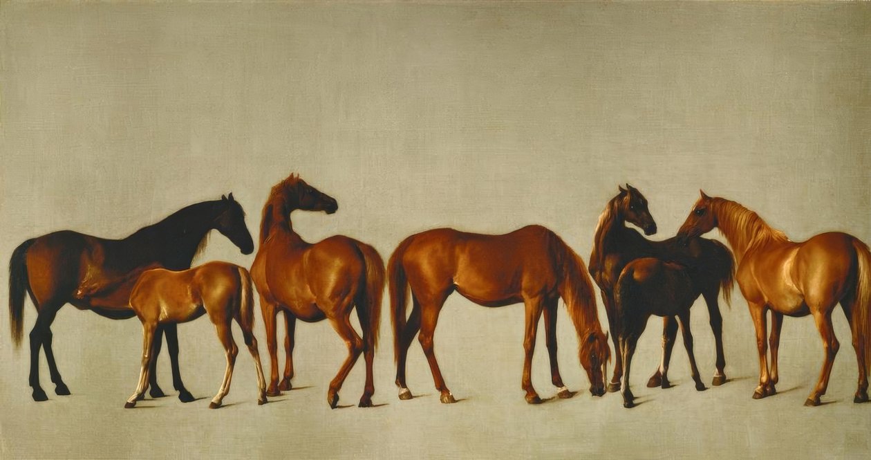 Stutterier med fyldninger af George Stubbs