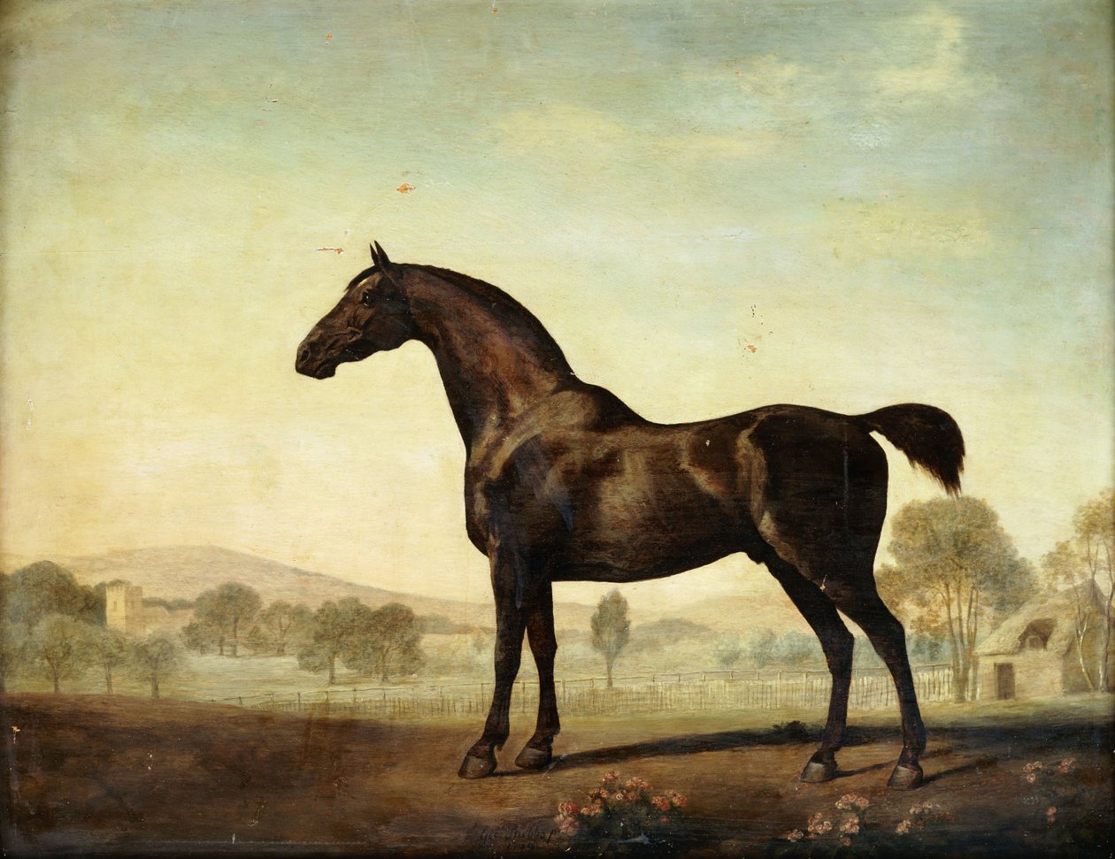 Sweetwilliam", en Bay Racehorse, i en Paddock, 1779 af George Stubbs