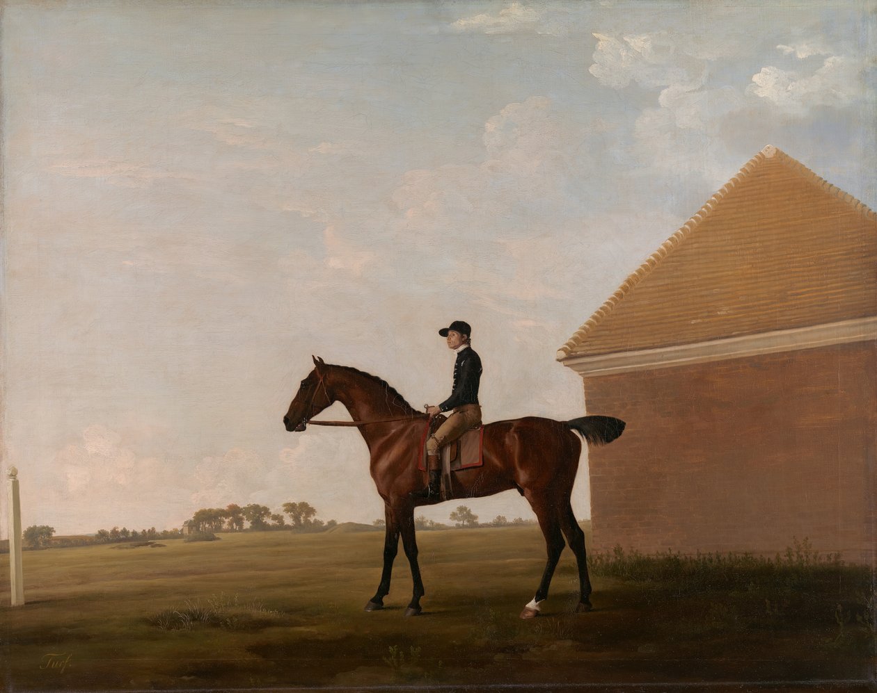 Turf, med Jockey oppe, ved Newmarket, ca. 1766. af George Stubbs