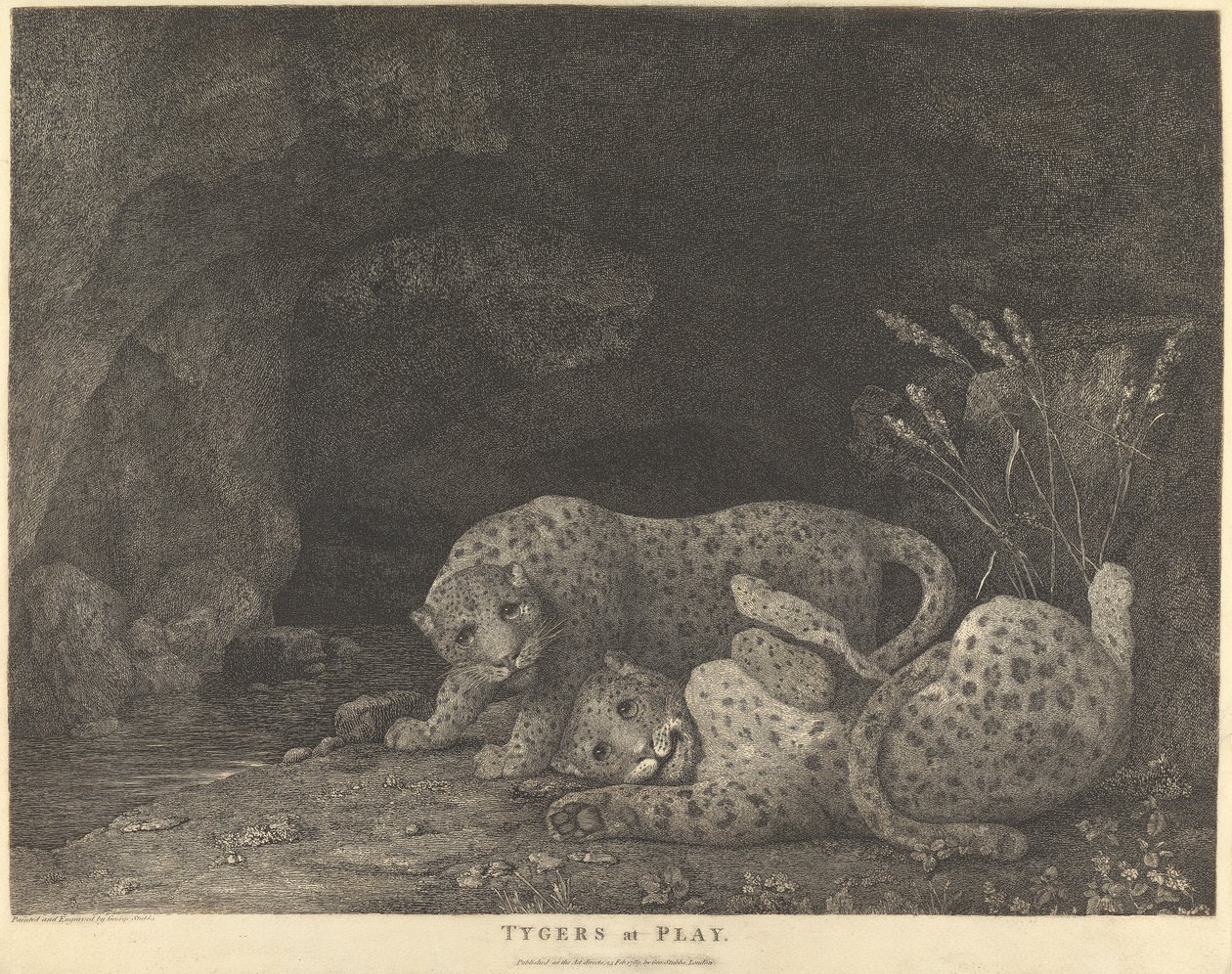 Tygers at Play af George Stubbs