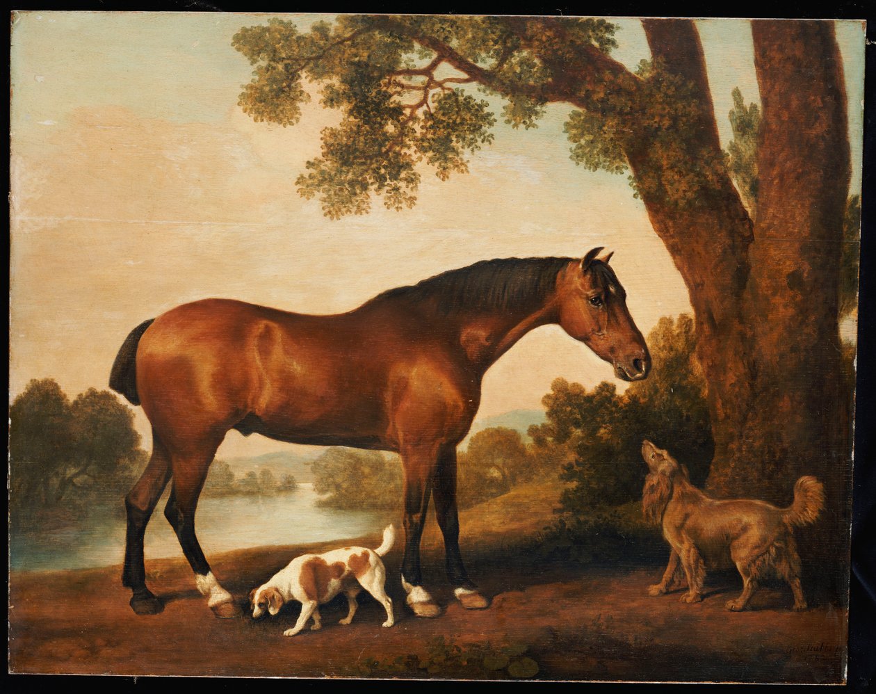 Ukendt billede af George Stubbs