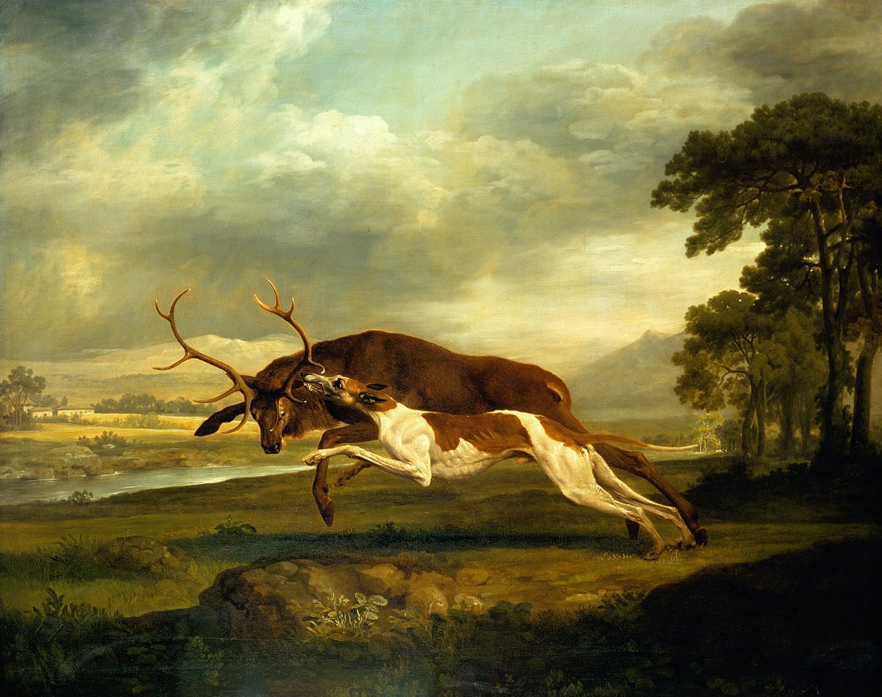 Ukendt billede af George Stubbs