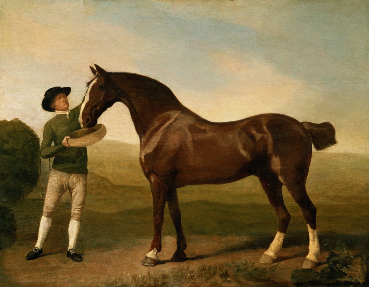 Ukendt billede af George Stubbs