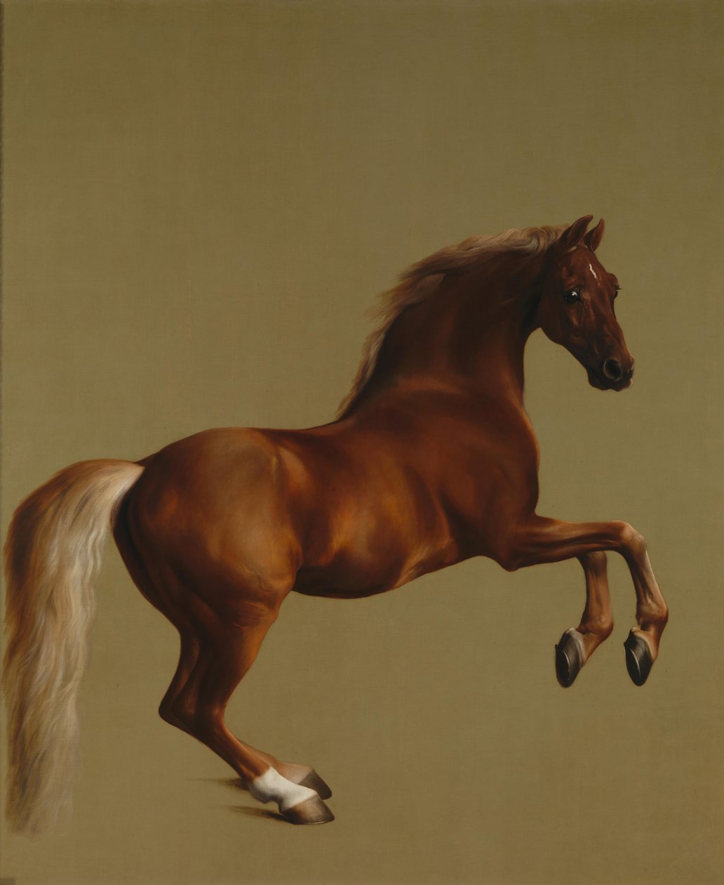Whistlejacket af George Stubbs