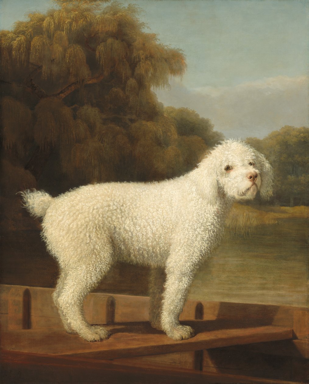 Hvid puddel i en spids, ca. 1780 af George Stubbs