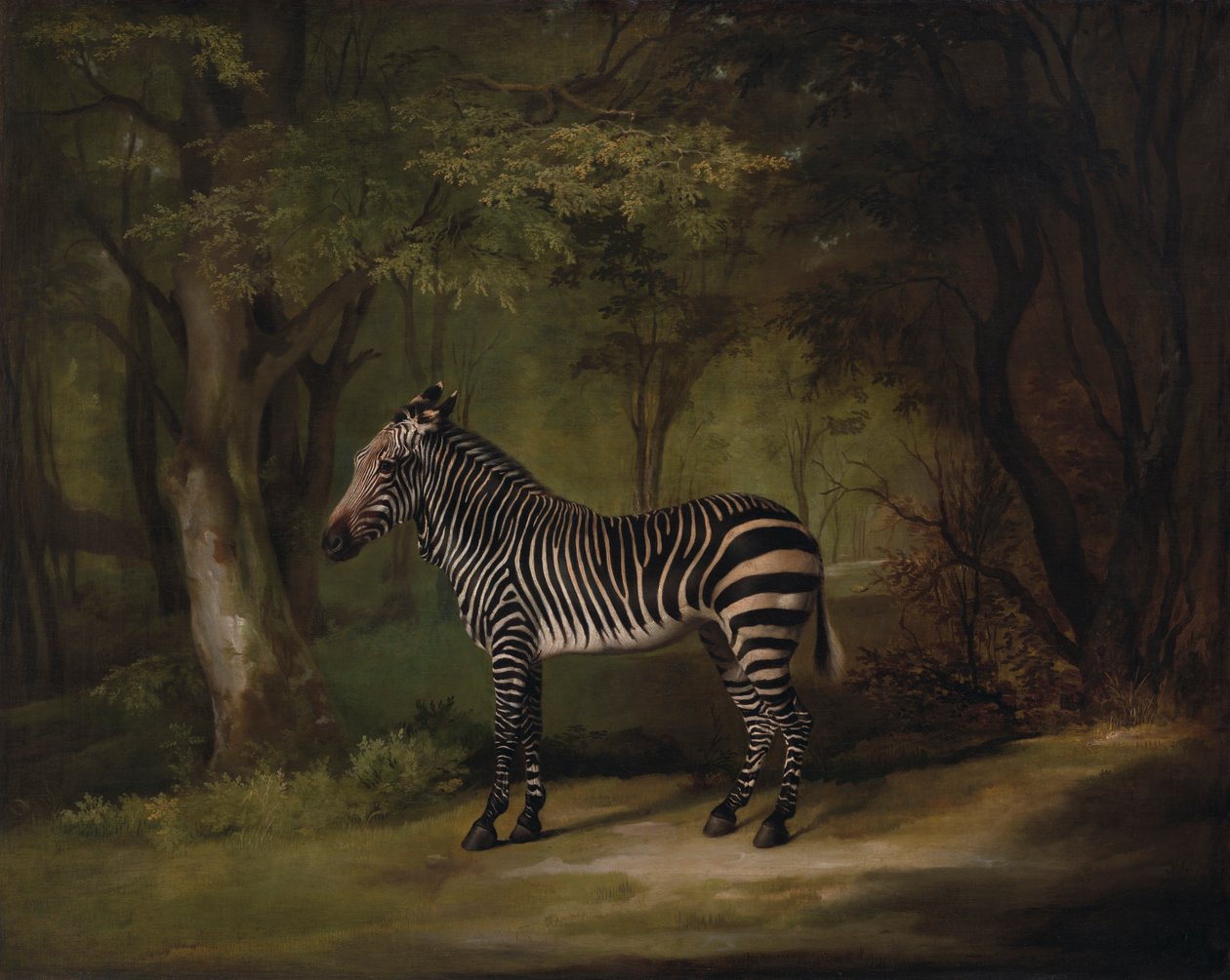 Zebra af George Stubbs