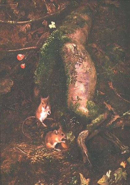 Markmus ved foden af et træ, 1876 af George Thomas Rope