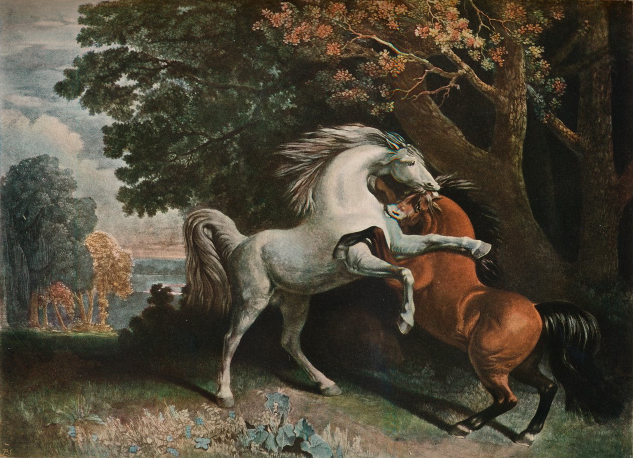 Hestekamp, c1700-tallet, 1902 af George Townley Stubbs