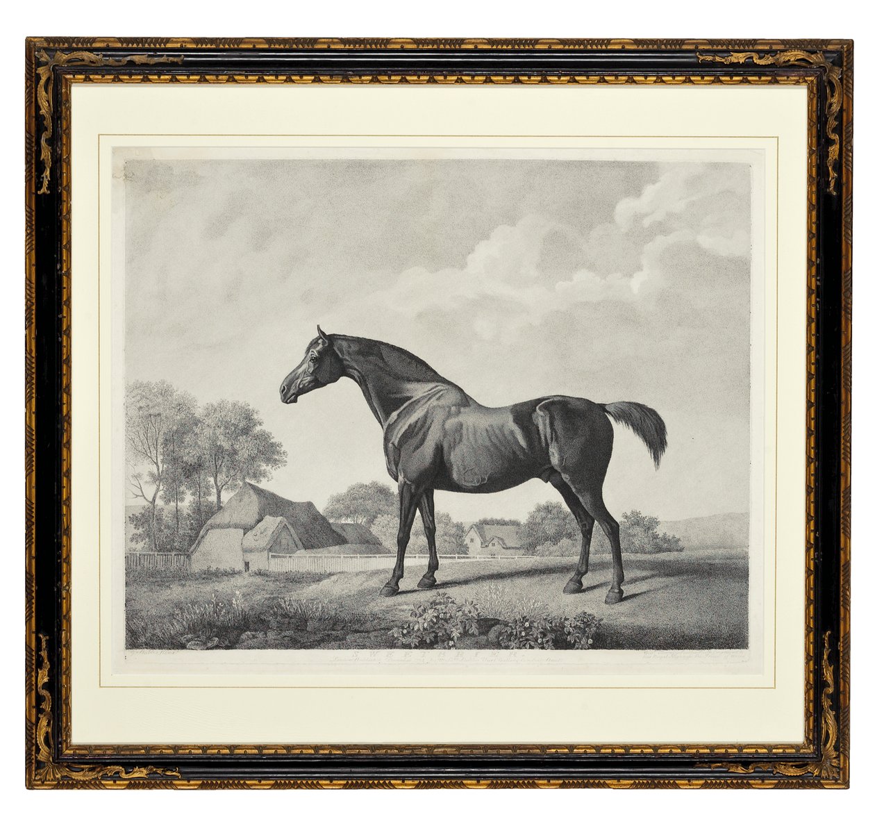 Sweetbrier (stiftgravering) af George Townley Stubbs