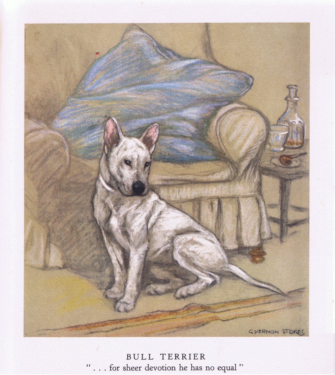 Bull terrier (farvelitografi) af George Vernon Stokes