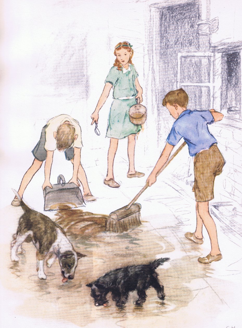 Det var et sjovt job, fra Pets Limited udgivet af Collins af George Vernon Stokes