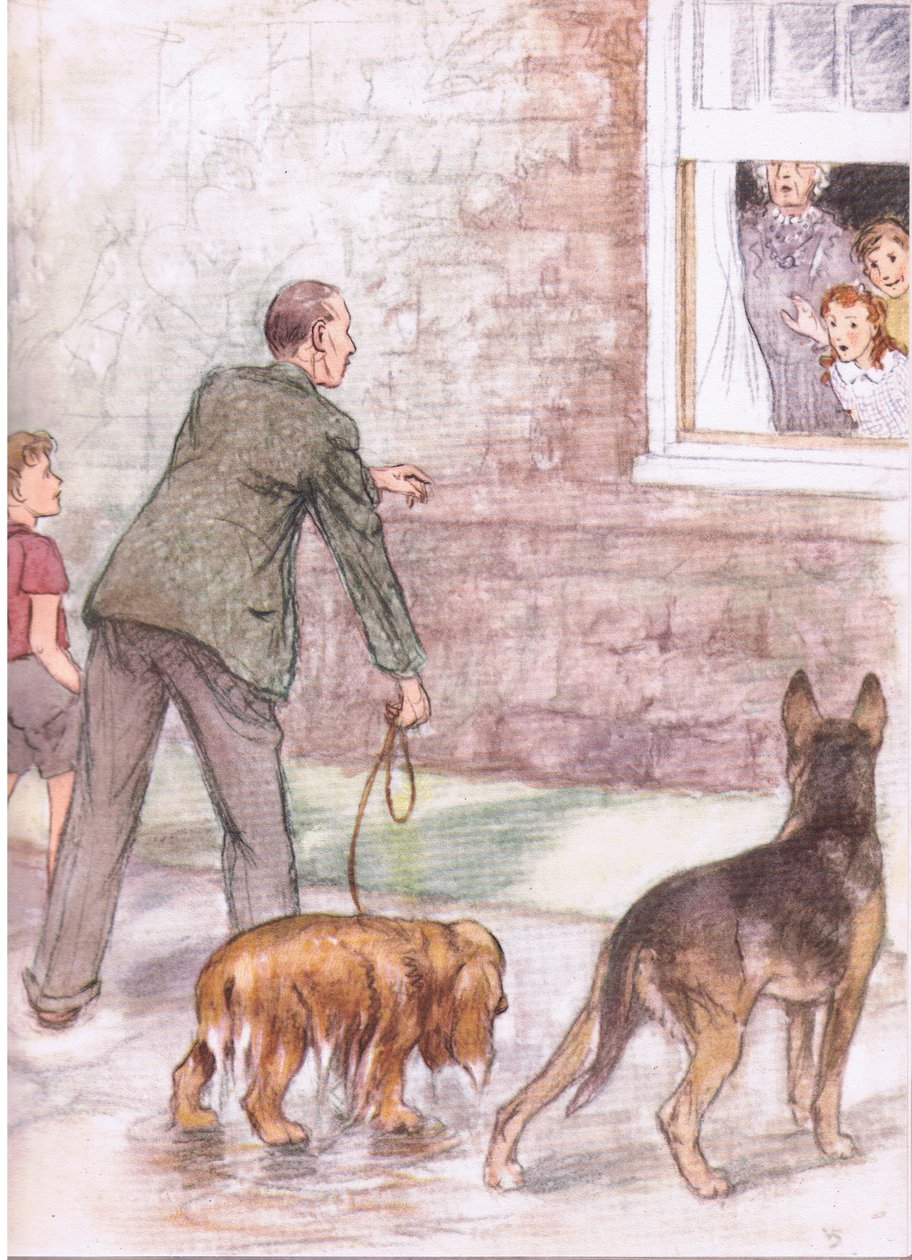 Spanielhundene dryppede af mudder og slim, fra Pets Limited udgivet af Collins af George Vernon Stokes