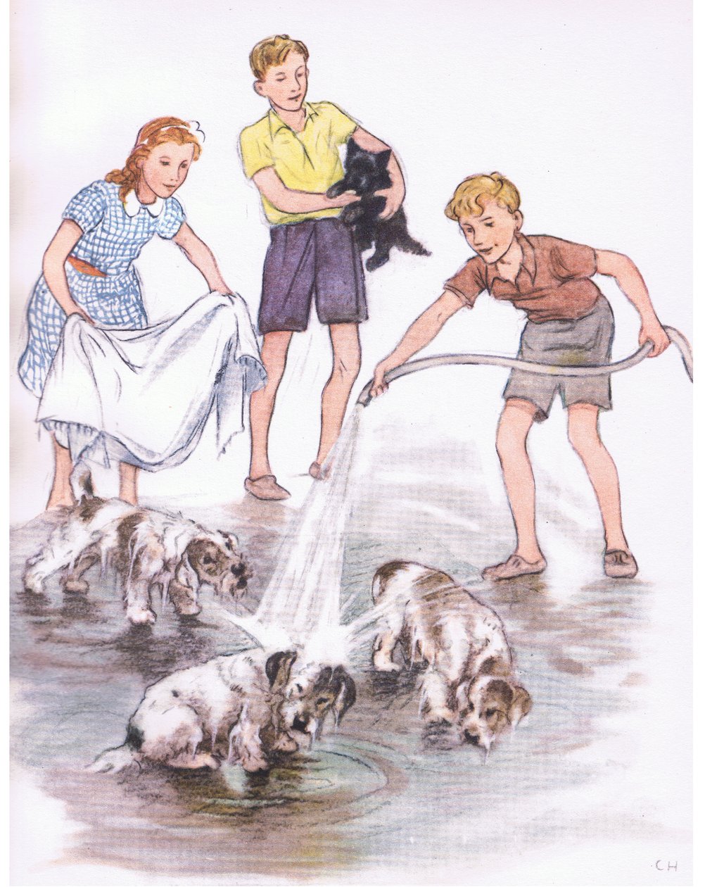 At vaske hundene, fra Pets Limited udgivet af Collins af George Vernon Stokes