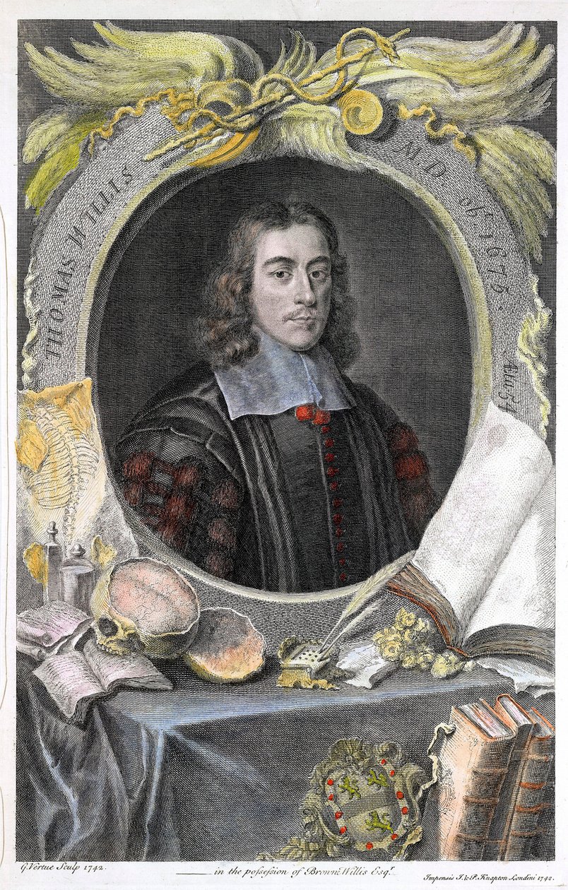 Portrait du medecin anglais Thomas Willis (1622-1675) Thomas Willis (1621-1675), engelsk læge, håndkoloreret kobberstik af den engelske grafiker George Vertue. ©UIG/Leemage af George Vertue