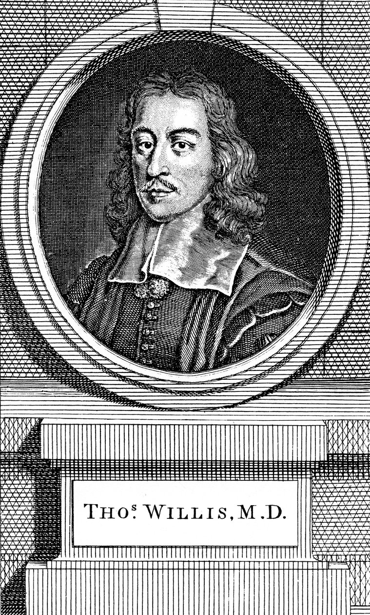Thomas Willis, engelsk læge fra det 17. århundrede, 1742 af George Vertue
