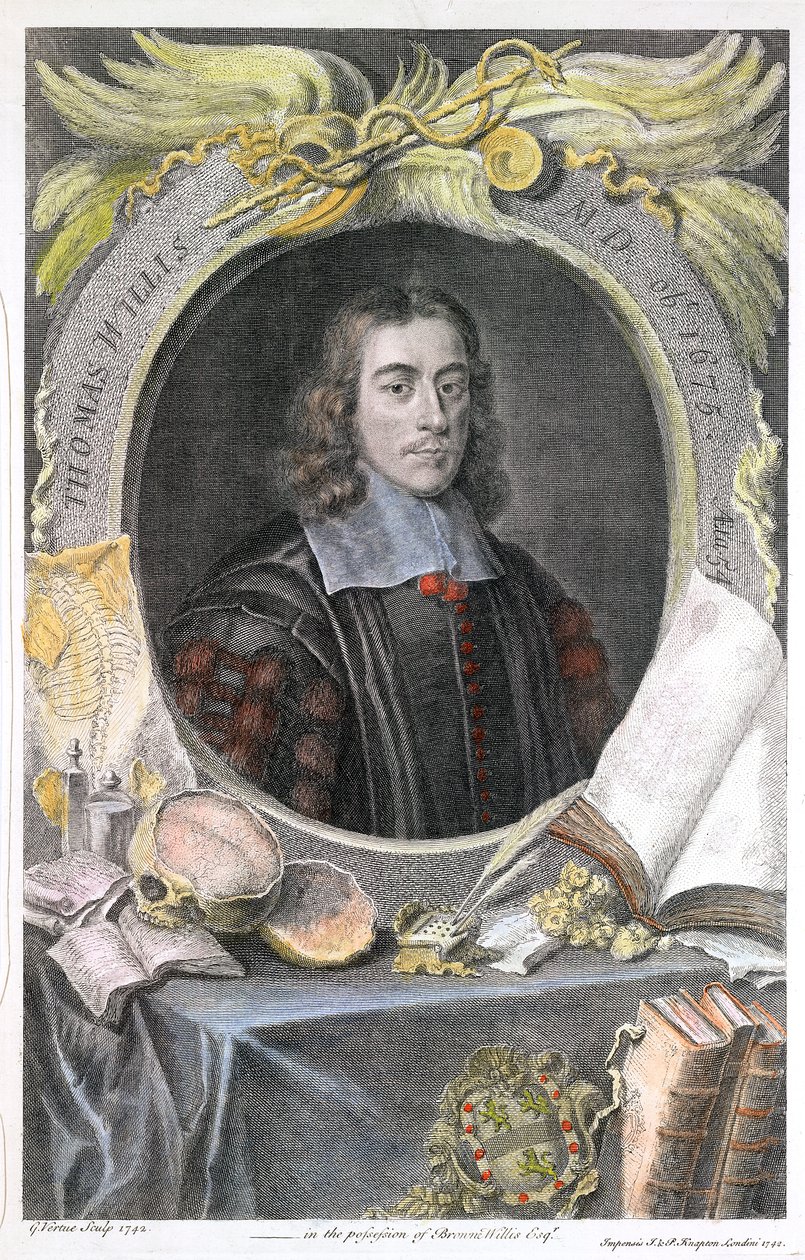 Thomas Willis, engelsk læge fra det 17. århundrede, 1742 af George Vertue