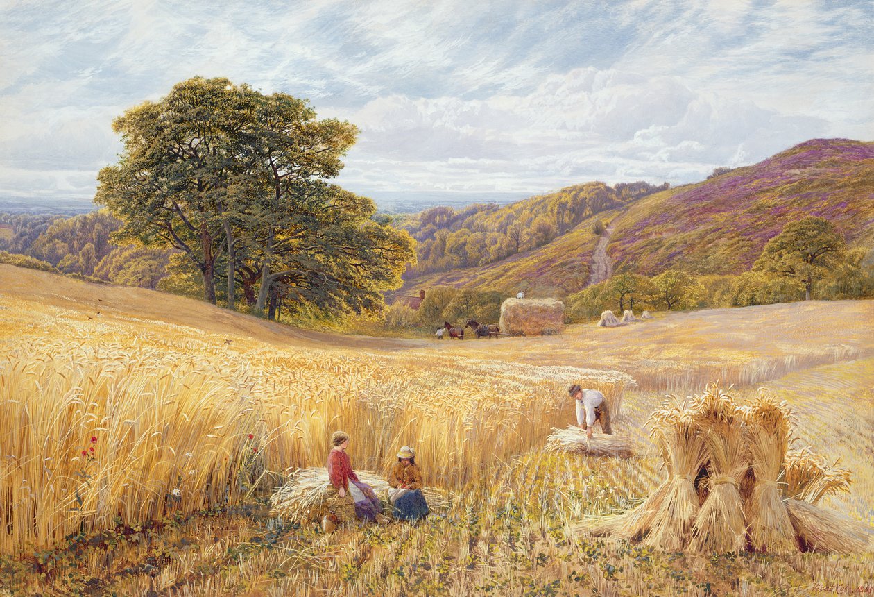 Høsttid nær Holmbury Hill, Surrey, 1865 (wc & kropsfarve på papir) af George Vicat Cole