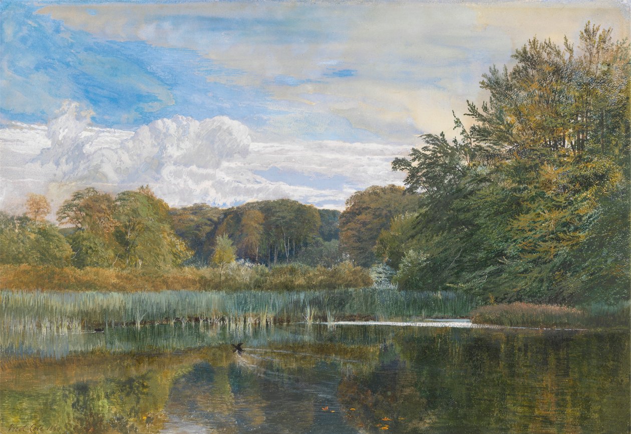 The Mill Pond, Evelyn Woods af George Vicat Cole