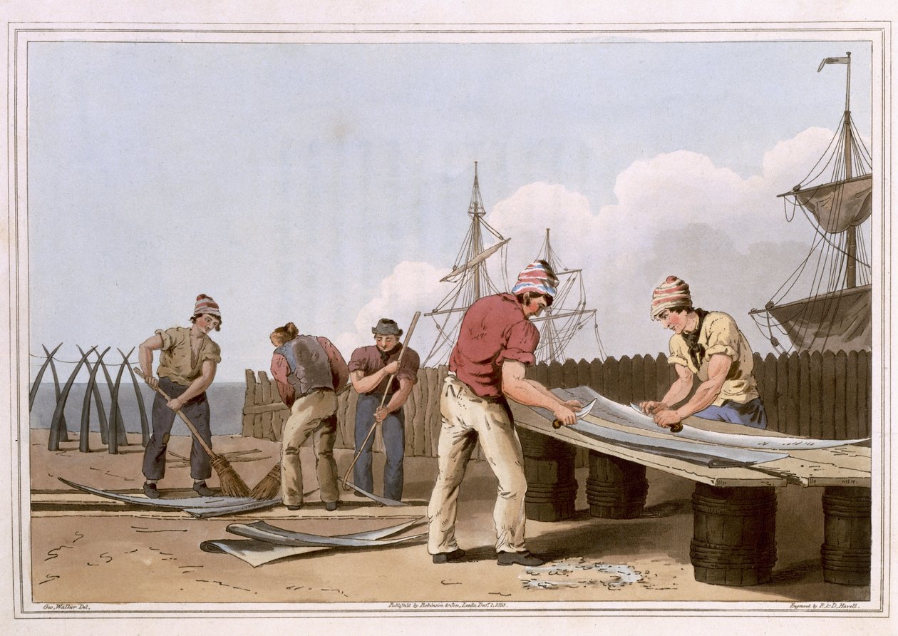 Whalebone Scrapers, indgraveret af Robert Havell den Ældre, udgivet 1814 af Robinson and Son, Leeds af George Walker